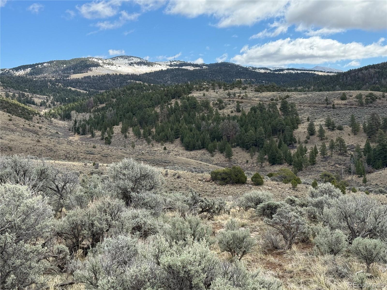 Lot 117 Lautenburg Drive Fort Garland CO 81133