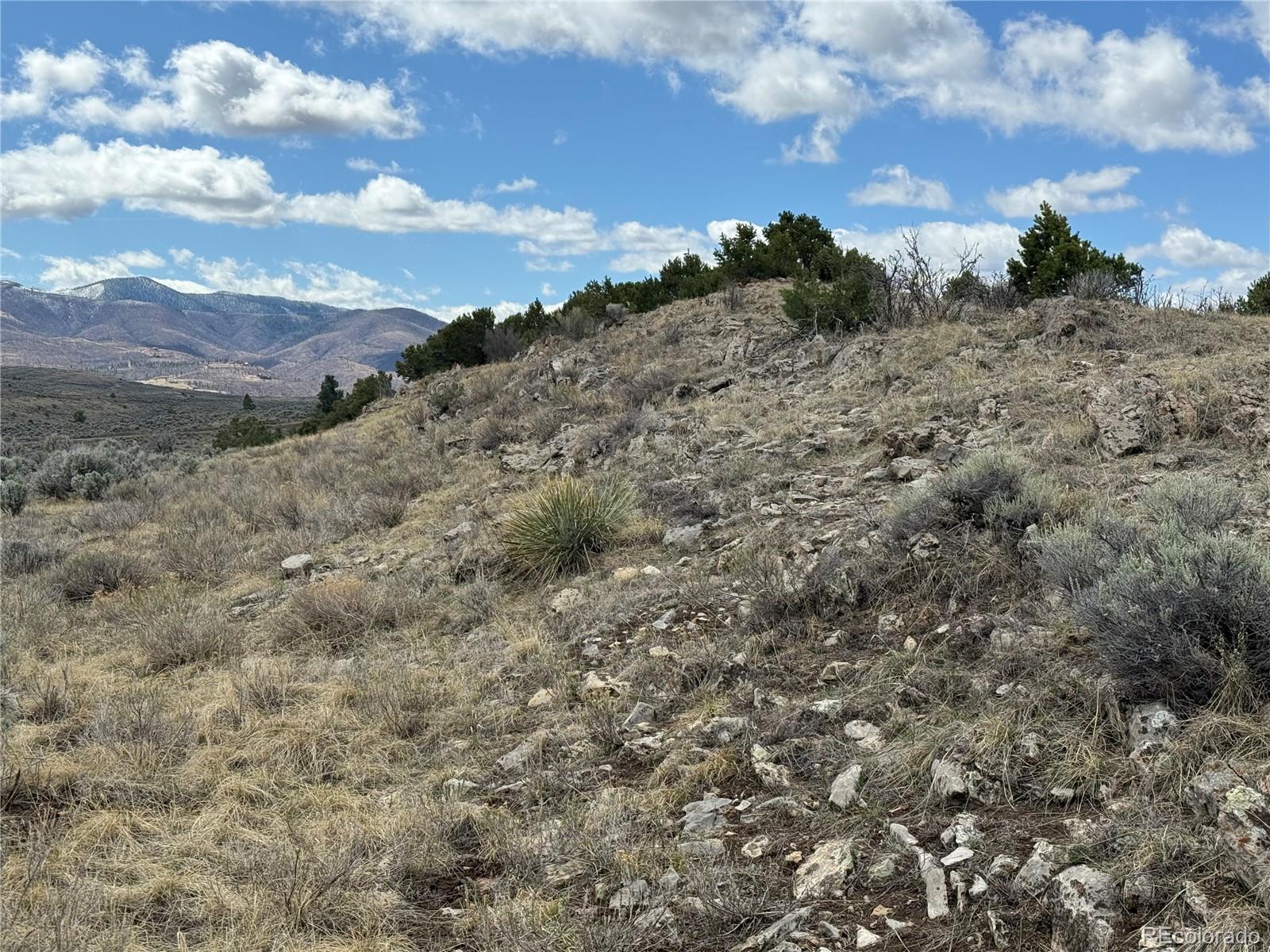 Lot 117 Lautenburg Drive Fort Garland CO 81133