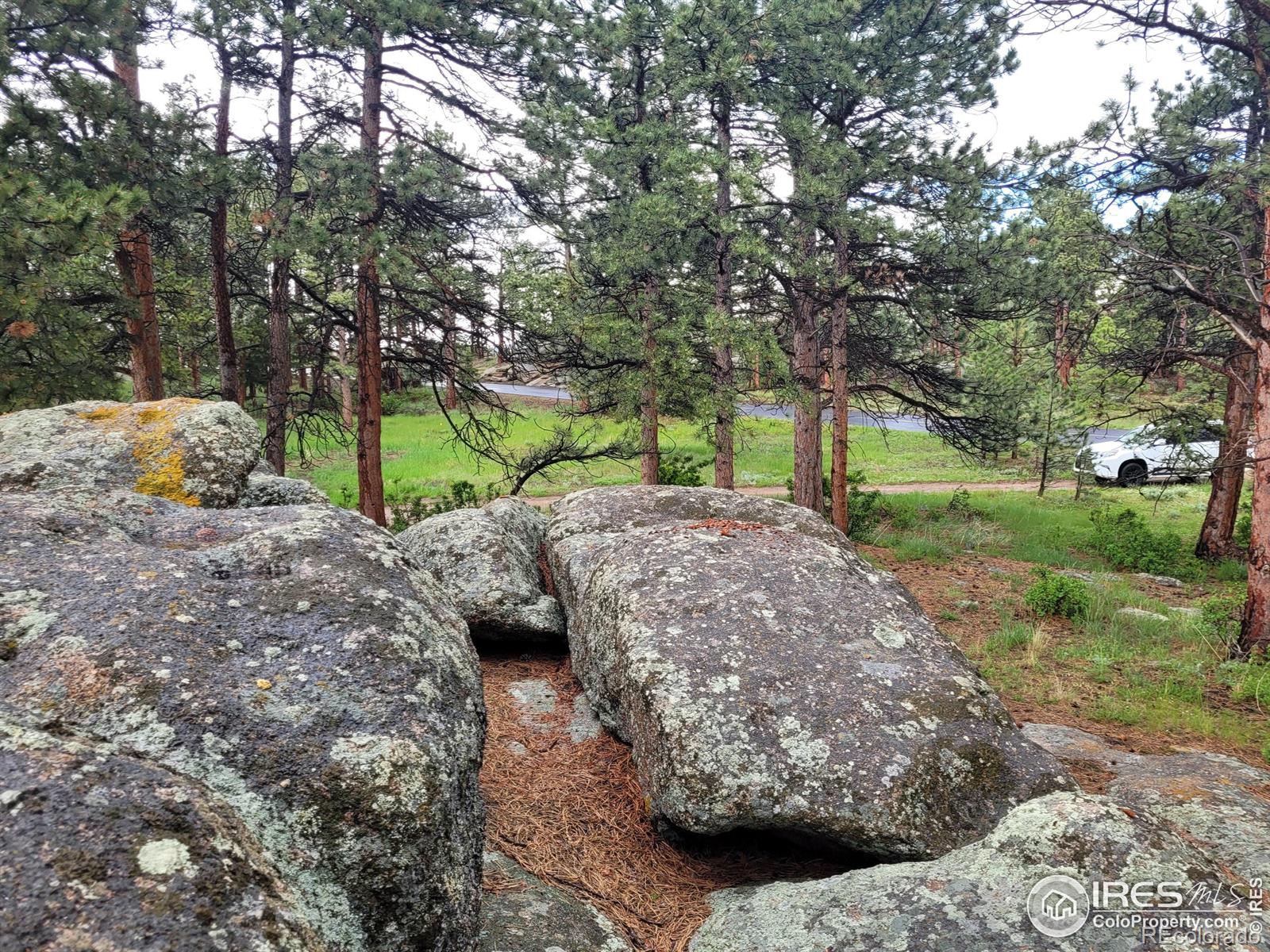 410 Fox Acres Drive W Red Feather Lakes CO 80545