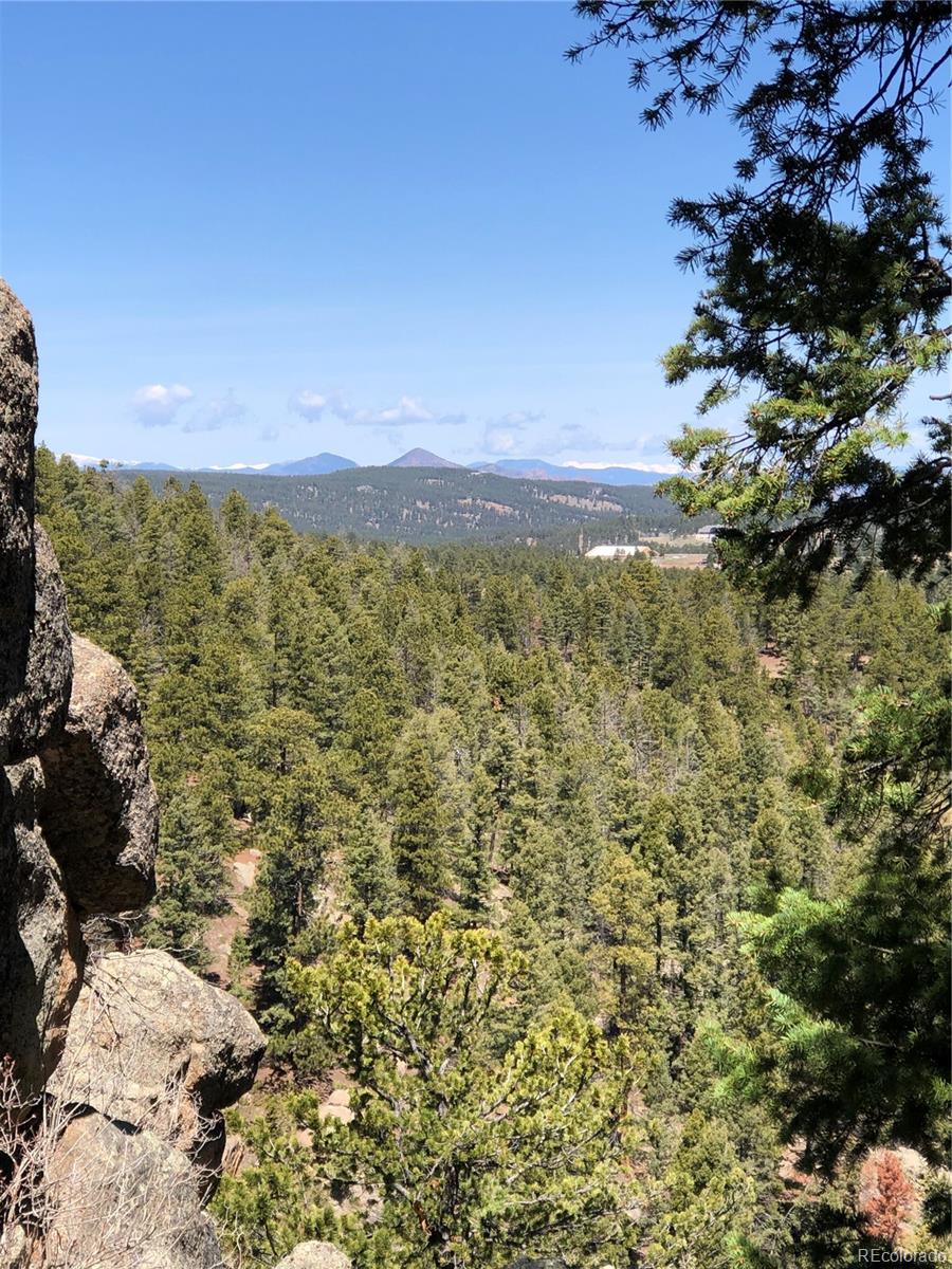 213 Osoeola Road Woodland Park CO 80863