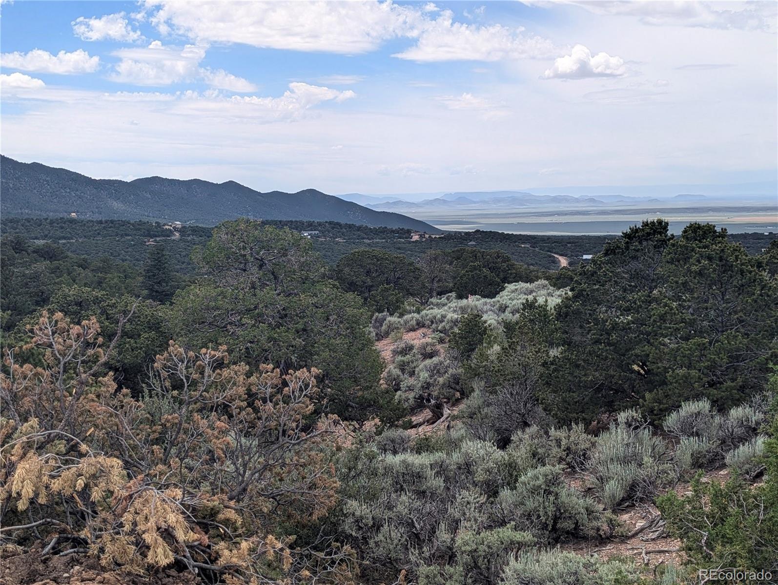 Lot 2387 Pina Road Fort Garland CO 81133