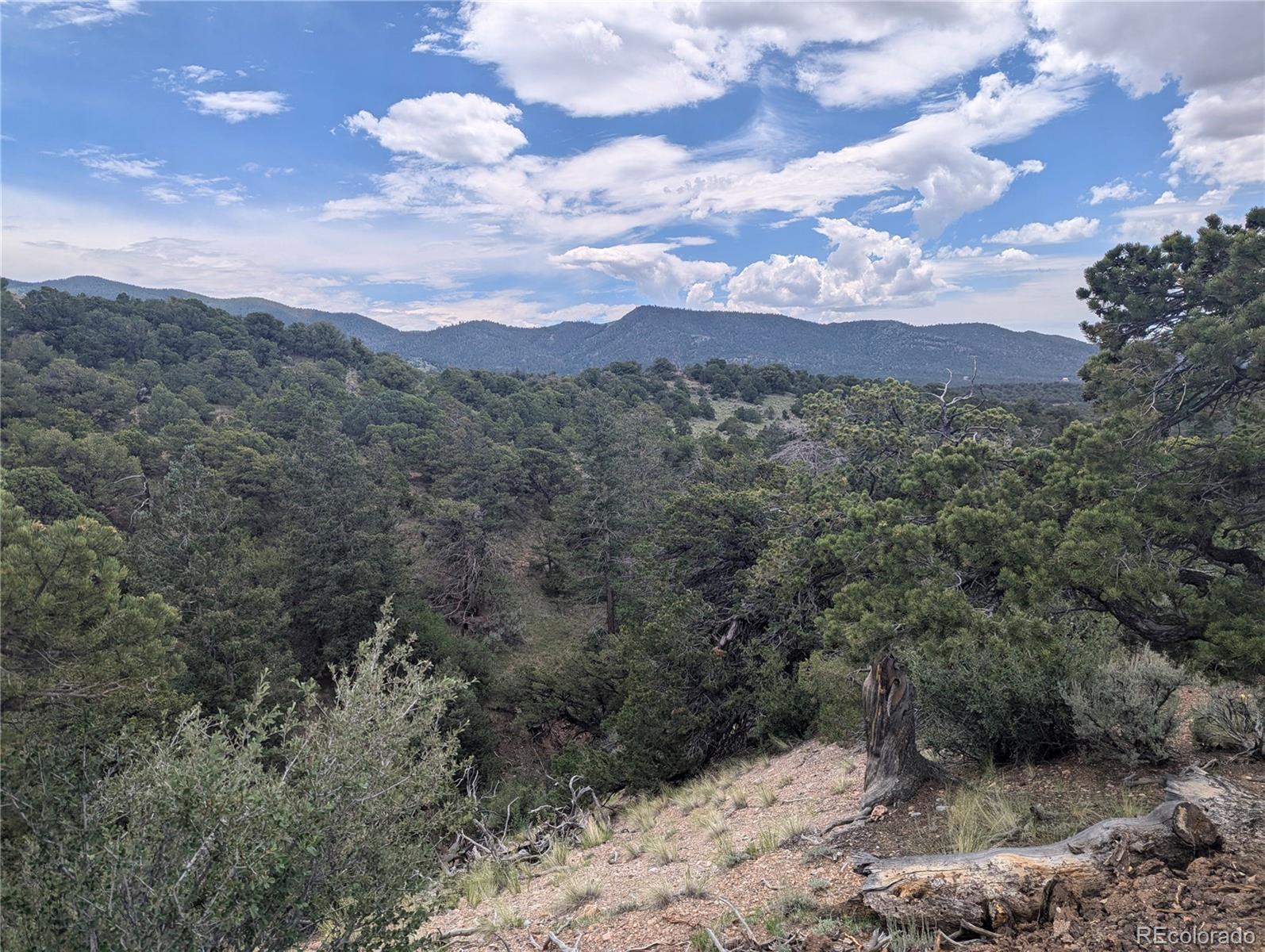 Lot 2387 Pina Road Fort Garland CO 81133