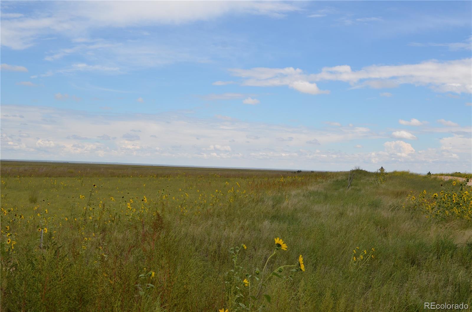 Parcel 1 County Road W Rush CO 80833