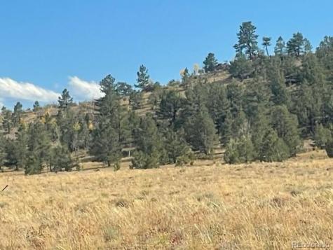 Black Beaver Trail Hartsel CO 80449