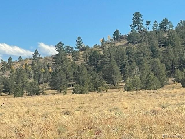 Black Beaver Trail Hartsel CO 80449