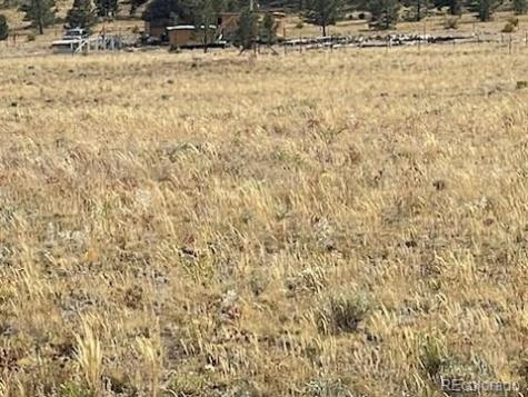 Black Beaver Trail Hartsel CO 80449