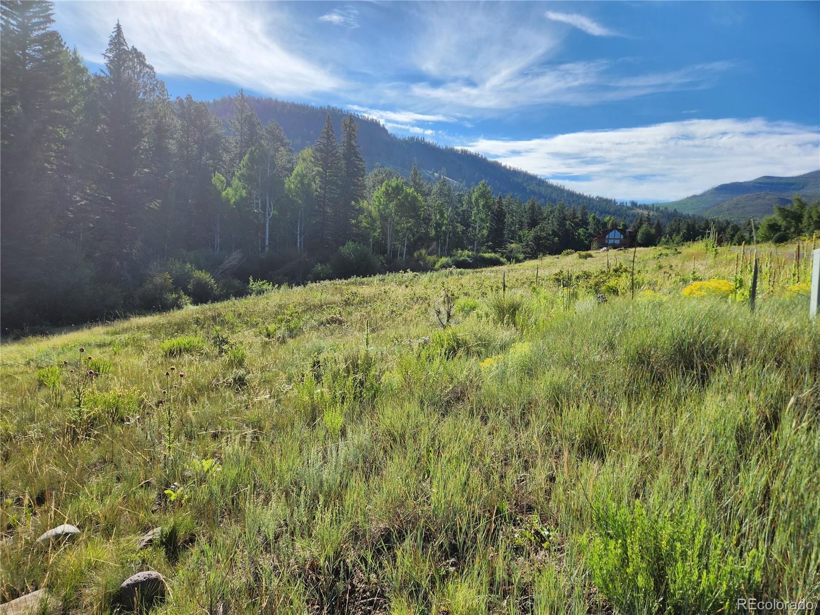 274 Church Creek South Fork CO 81154