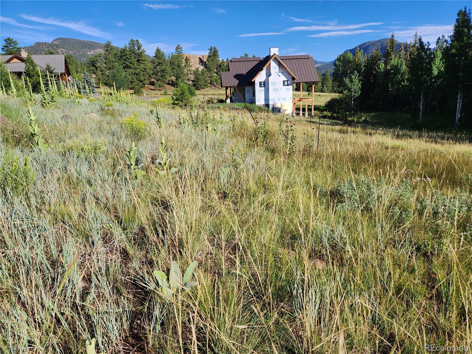 274 Church Creek South Fork CO 81154