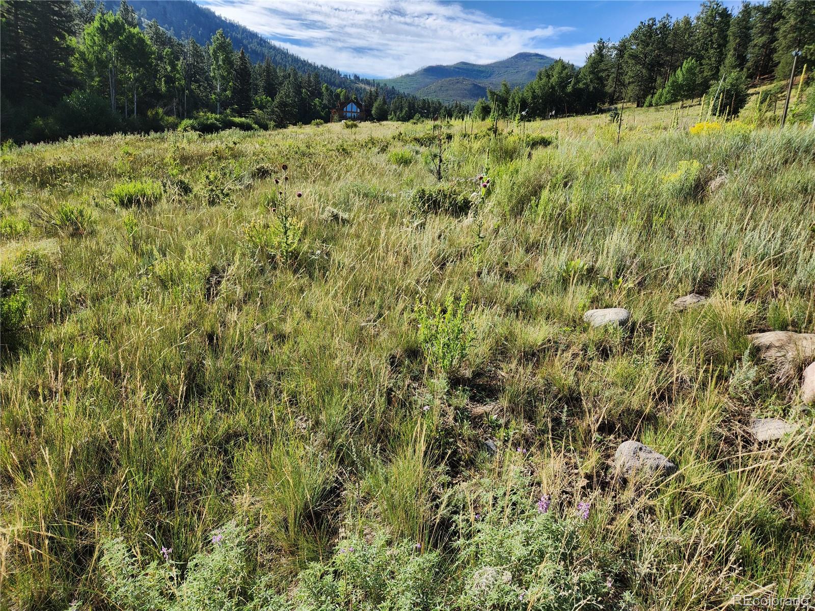 274 Church Creek South Fork CO 81154