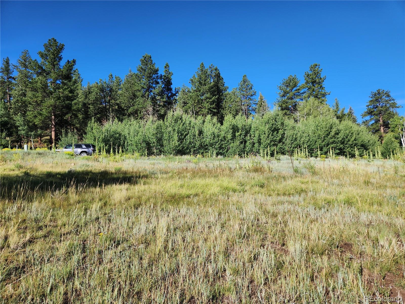 274 Church Creek South Fork CO 81154