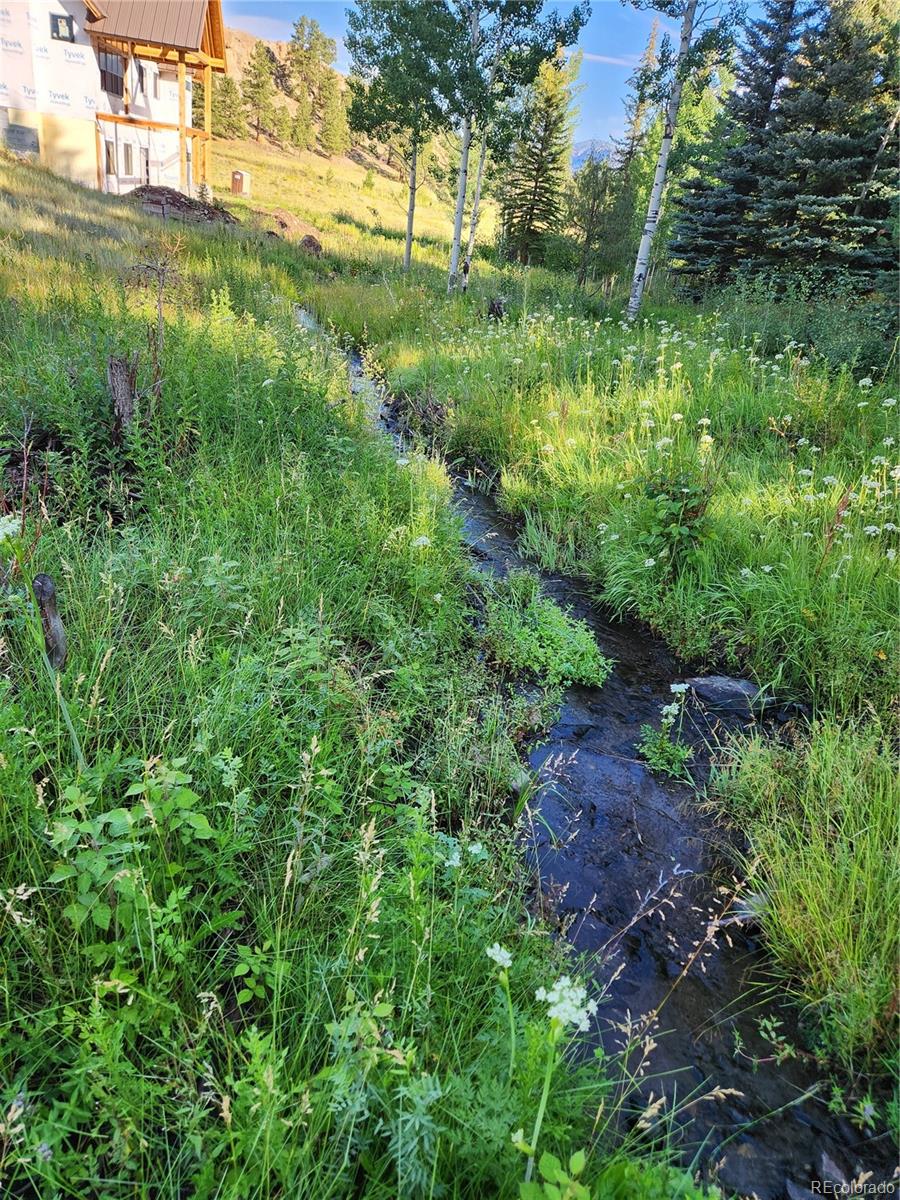274 Church Creek South Fork CO 81154