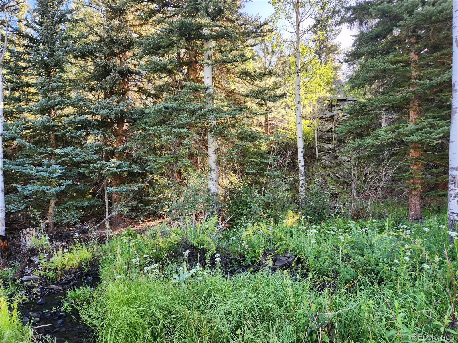 274 Church Creek South Fork CO 81154