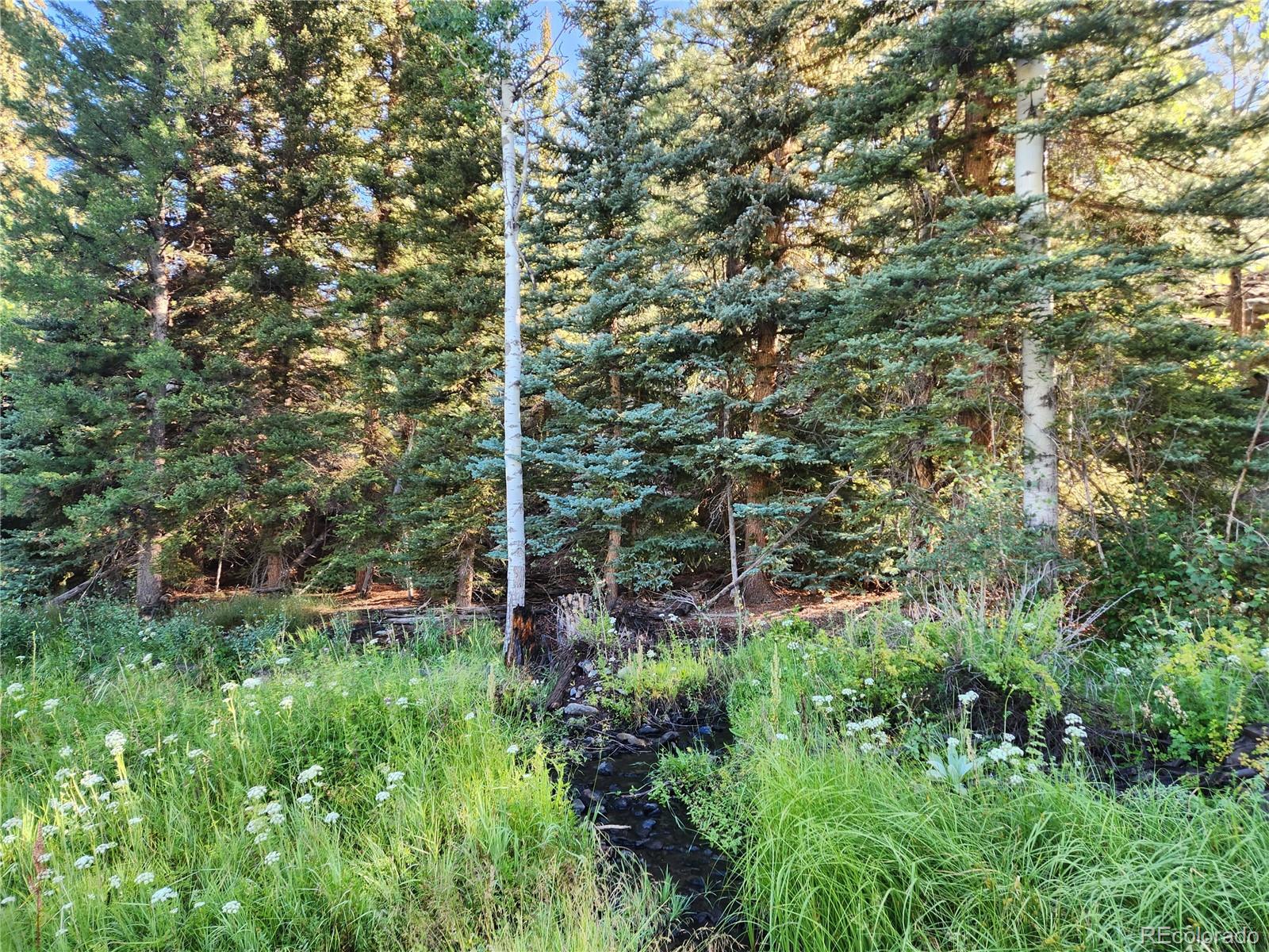 274 Church Creek South Fork CO 81154