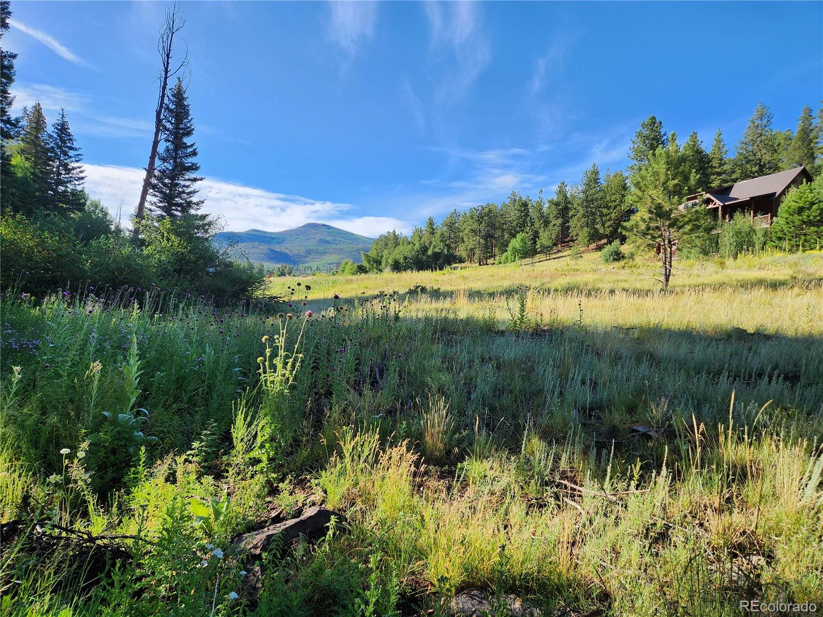 274 Church Creek South Fork CO 81154