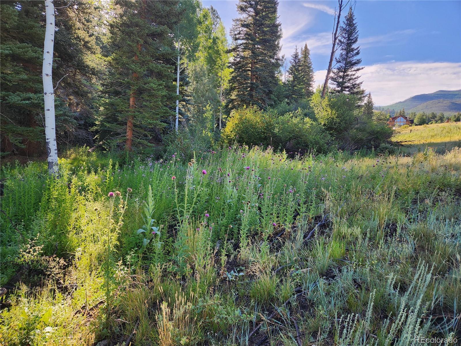 274 Church Creek South Fork CO 81154