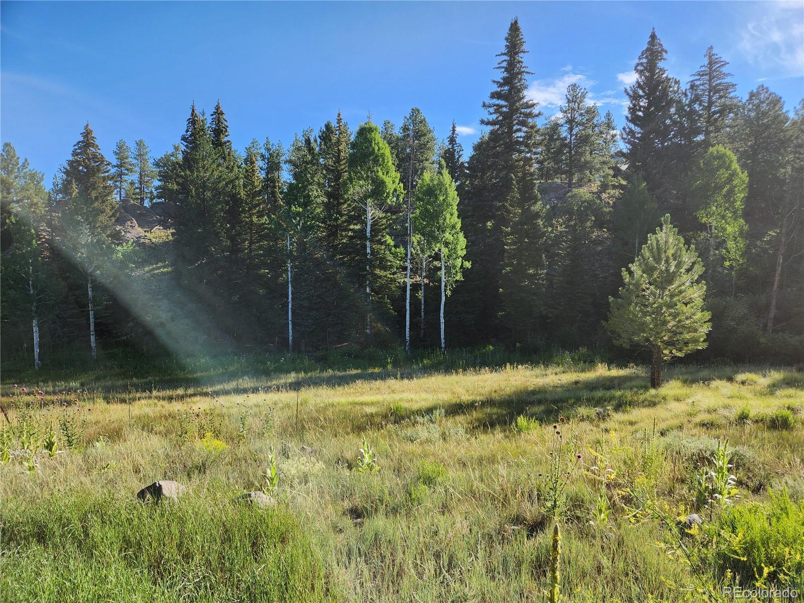 274 Church Creek South Fork CO 81154