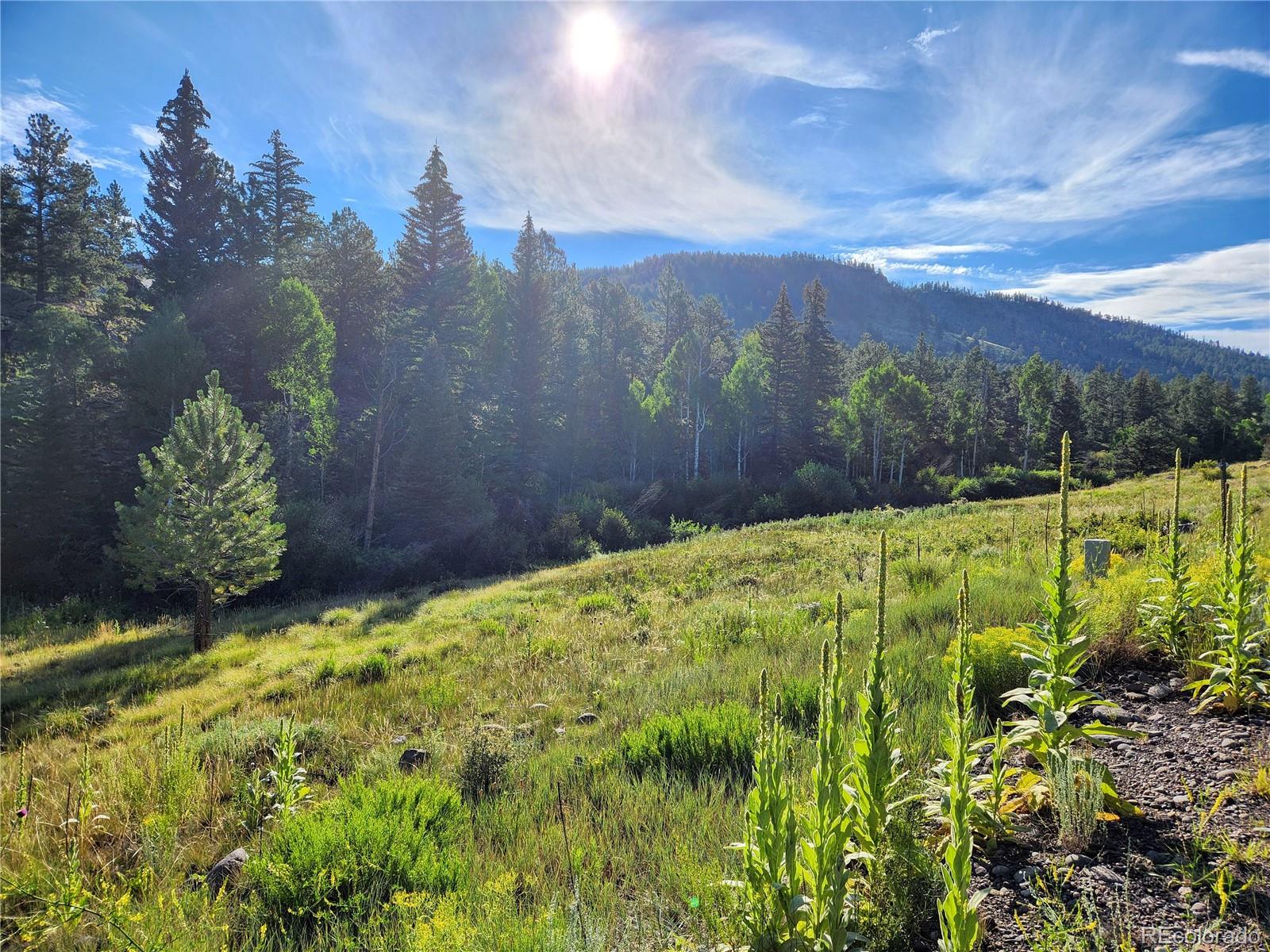274 Church Creek South Fork CO 81154