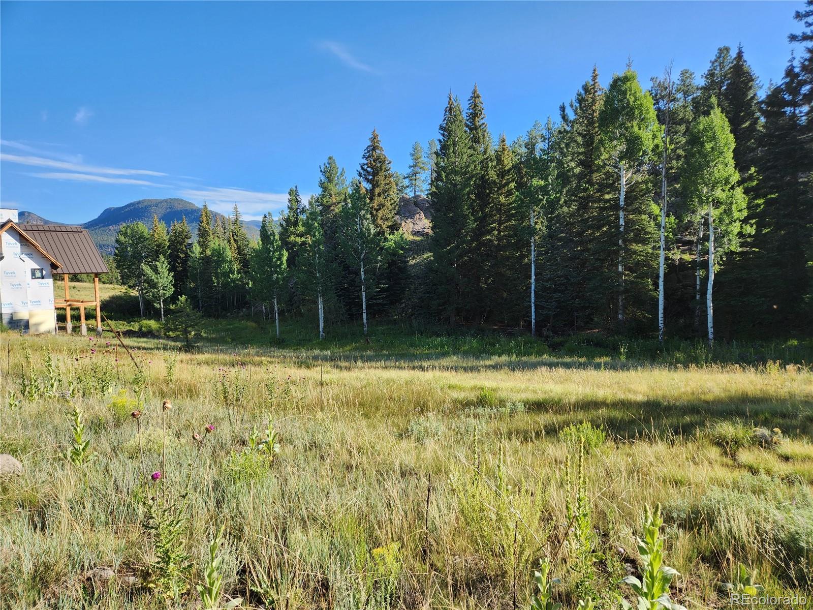 274 Church Creek South Fork CO 81154