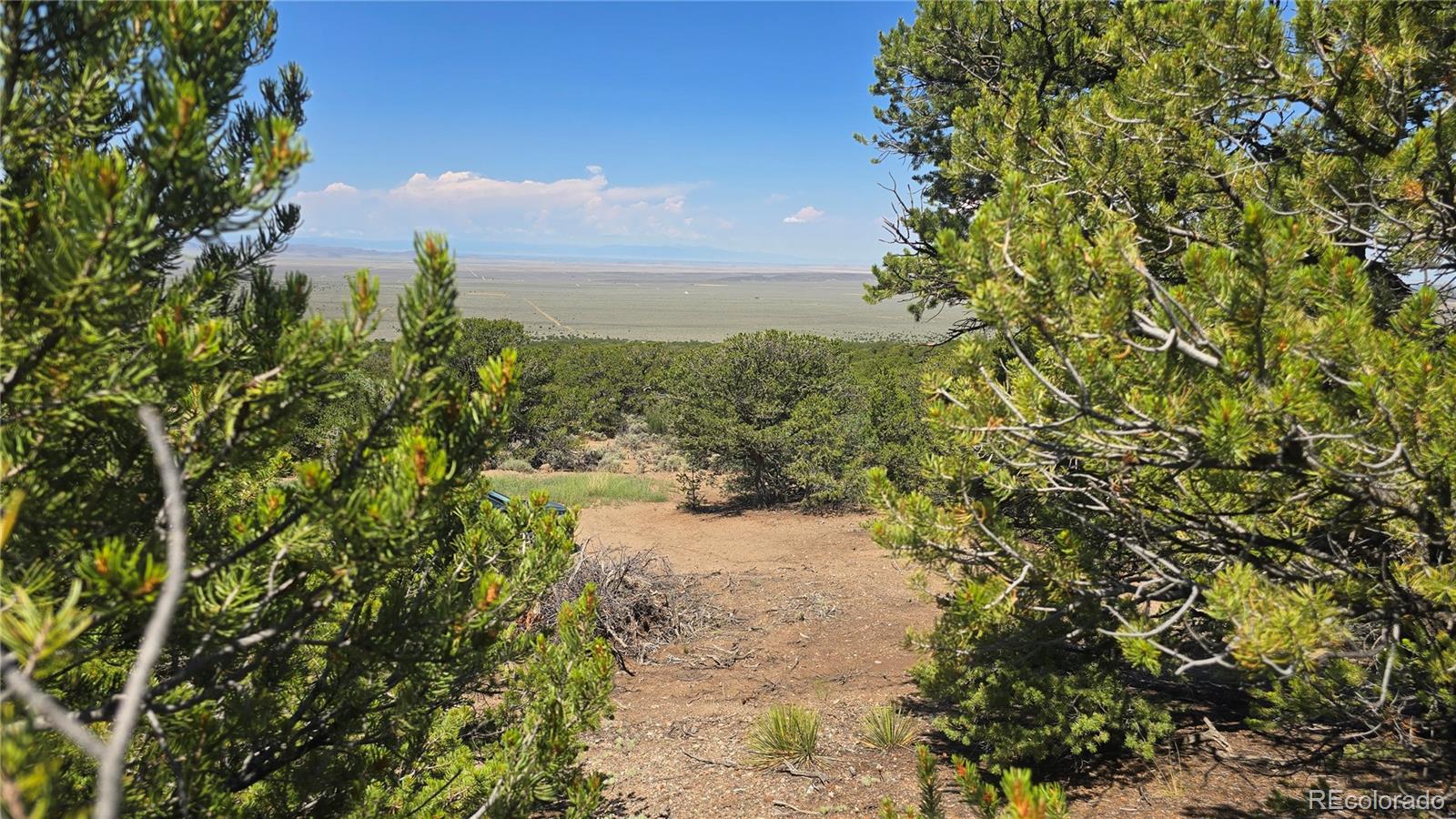 Lot 1416 Michaels Road Fort Garland CO 81133