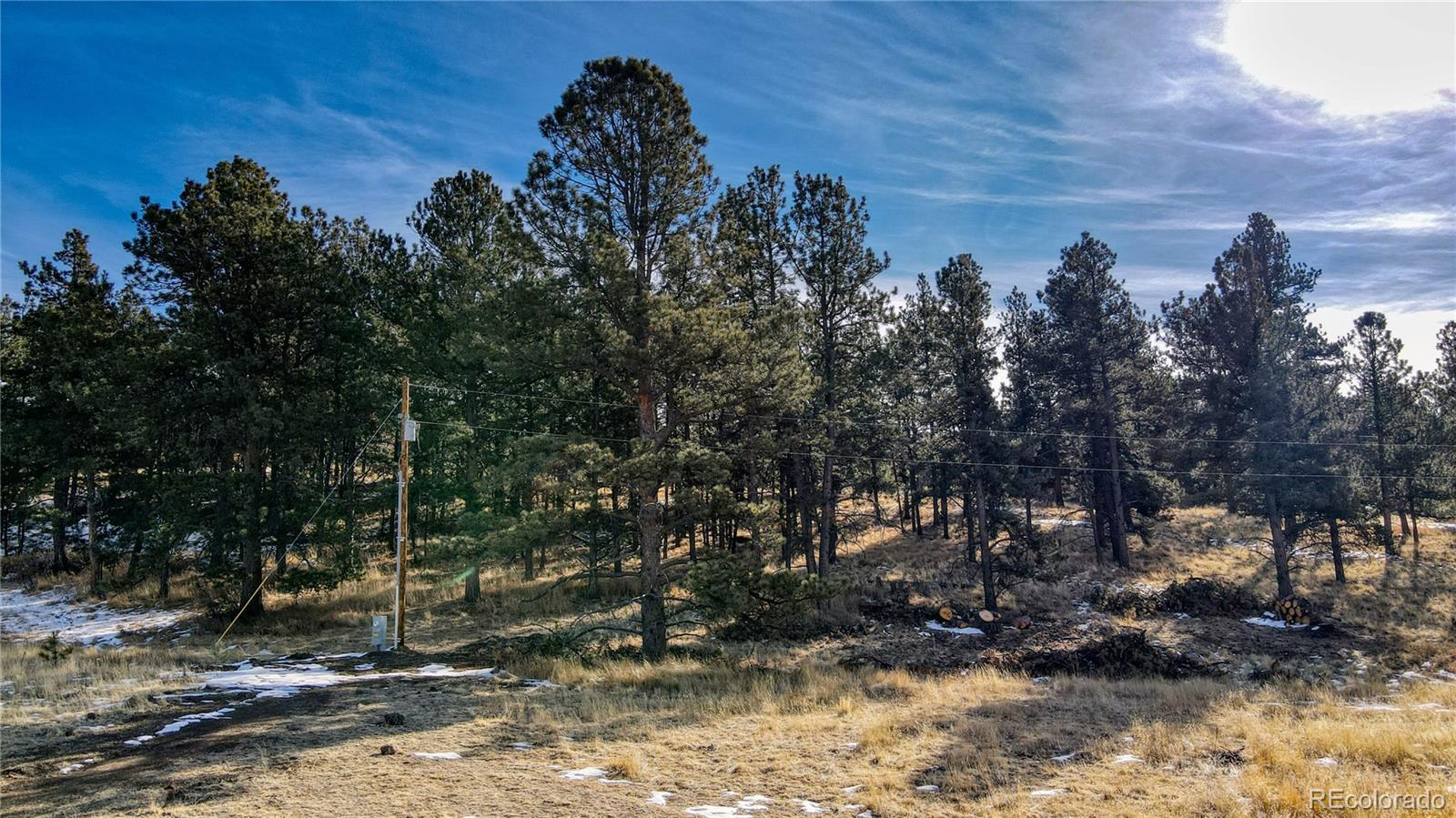 150 High Pasture Road Florissant CO 80816
