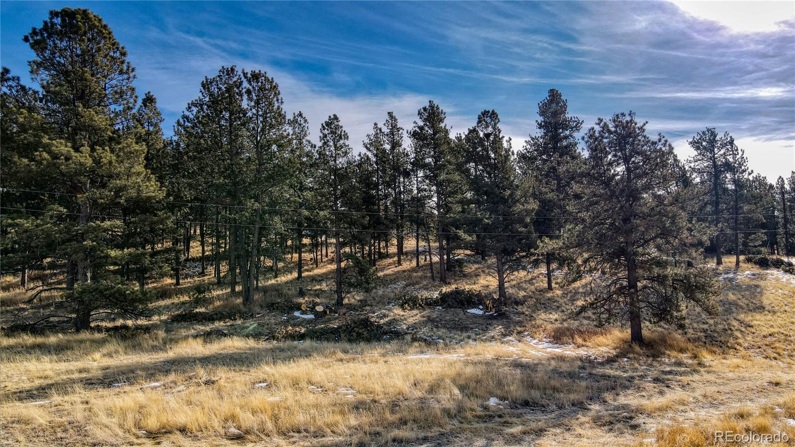 150 High Pasture Road Florissant CO 80816