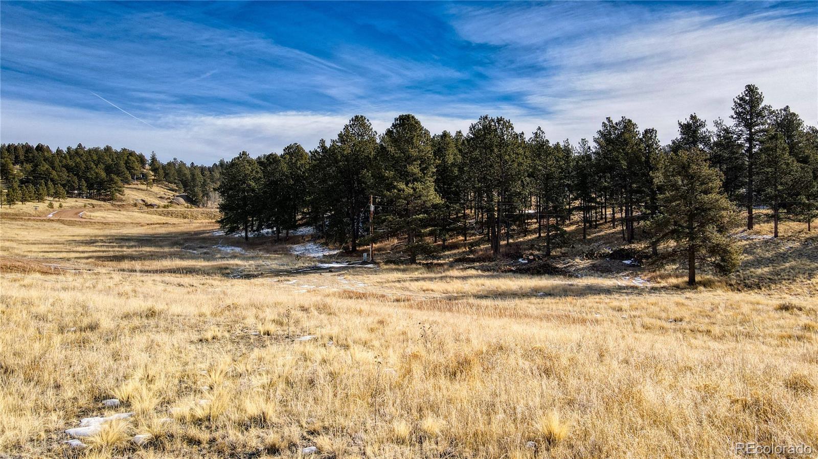150 High Pasture Road Florissant CO 80816