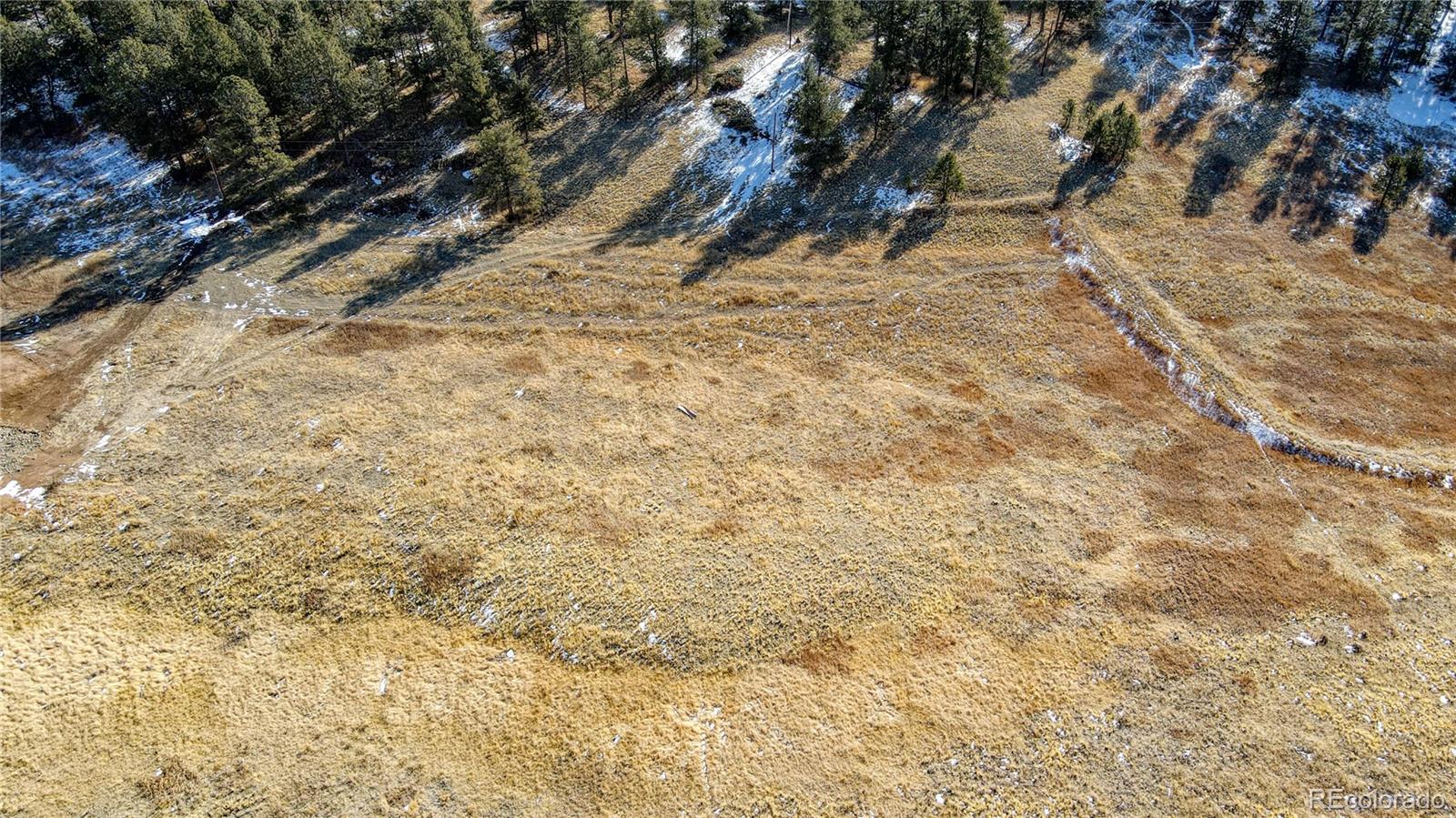 150 High Pasture Road Florissant CO 80816