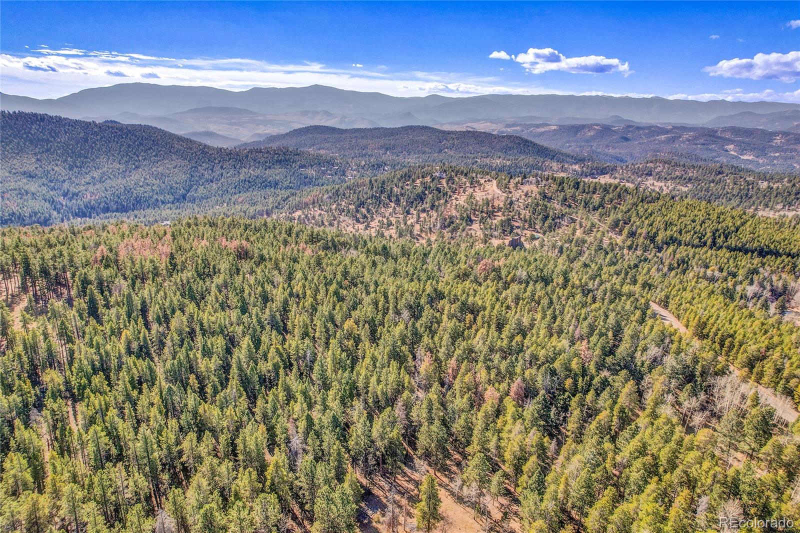 27551 Molly Drive Conifer CO 80433