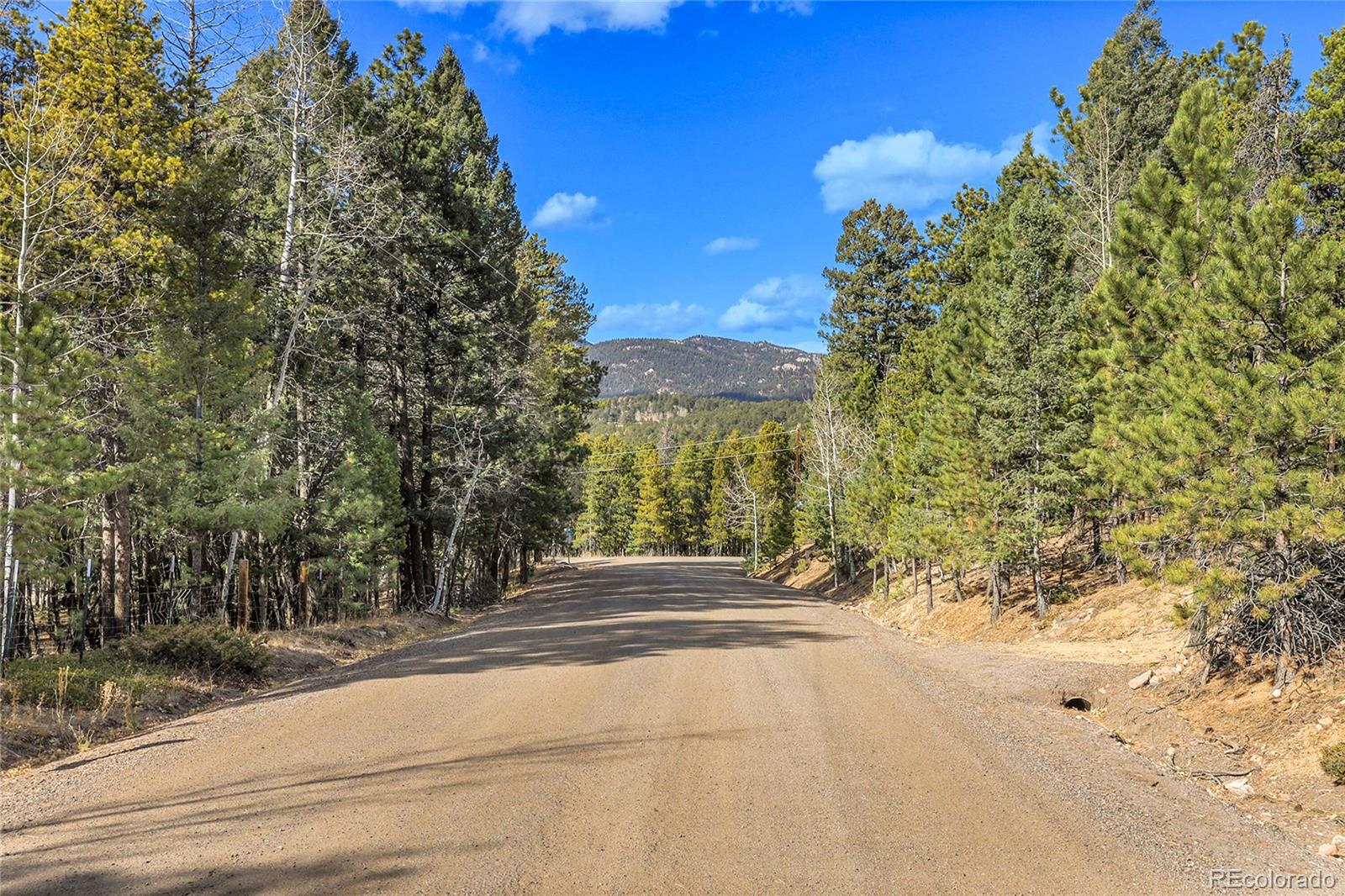 27551 Molly Drive Conifer CO 80433