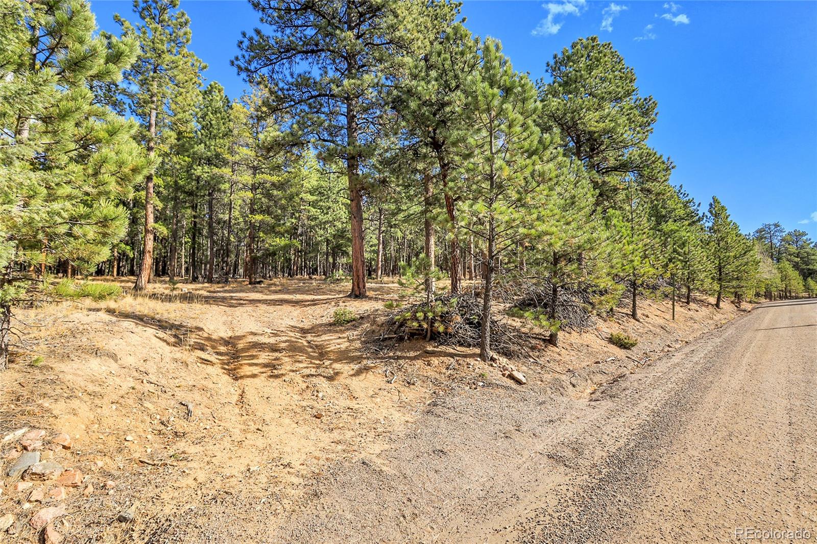 27551 Molly Drive Conifer CO 80433