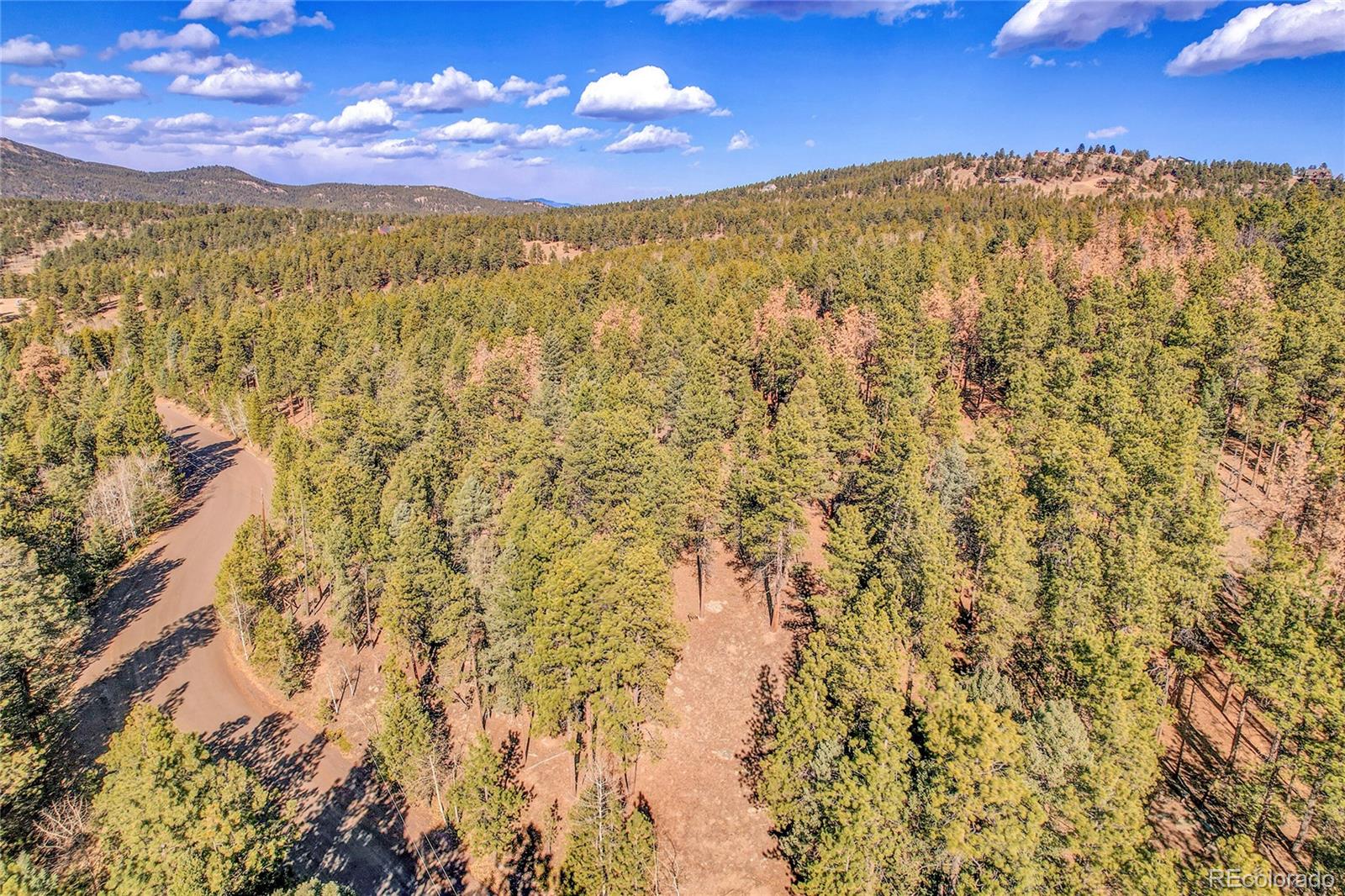 27551 Molly Drive Conifer CO 80433