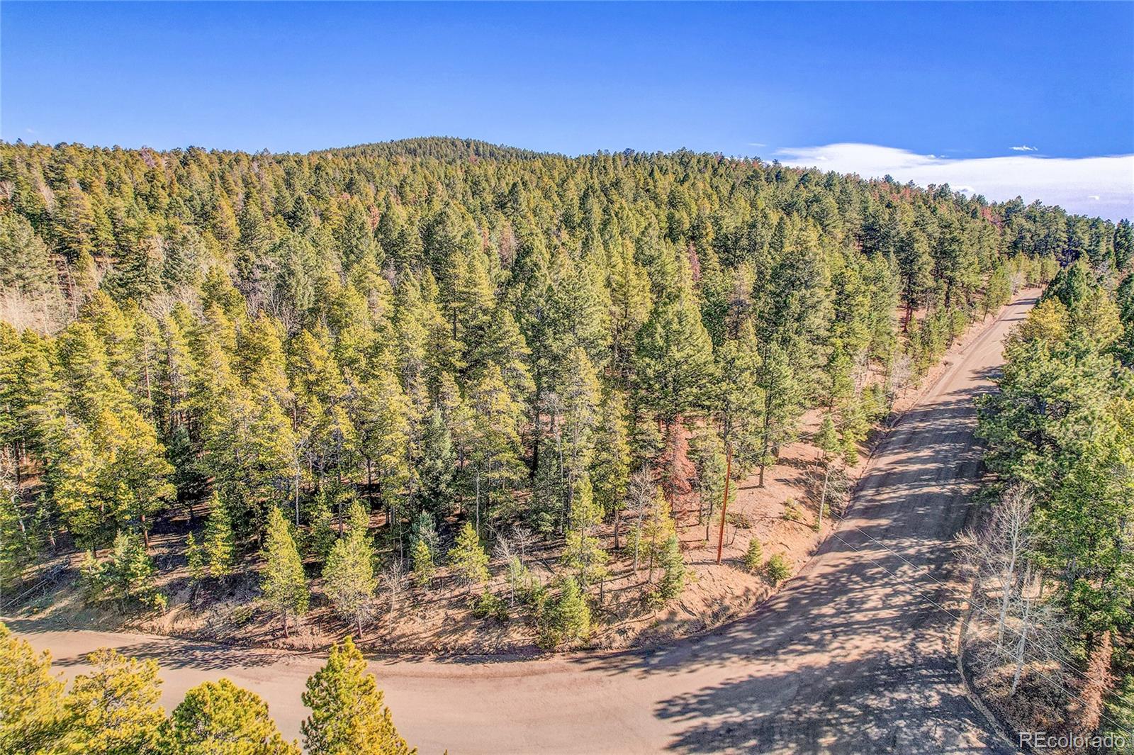 27551 Molly Drive Conifer CO 80433