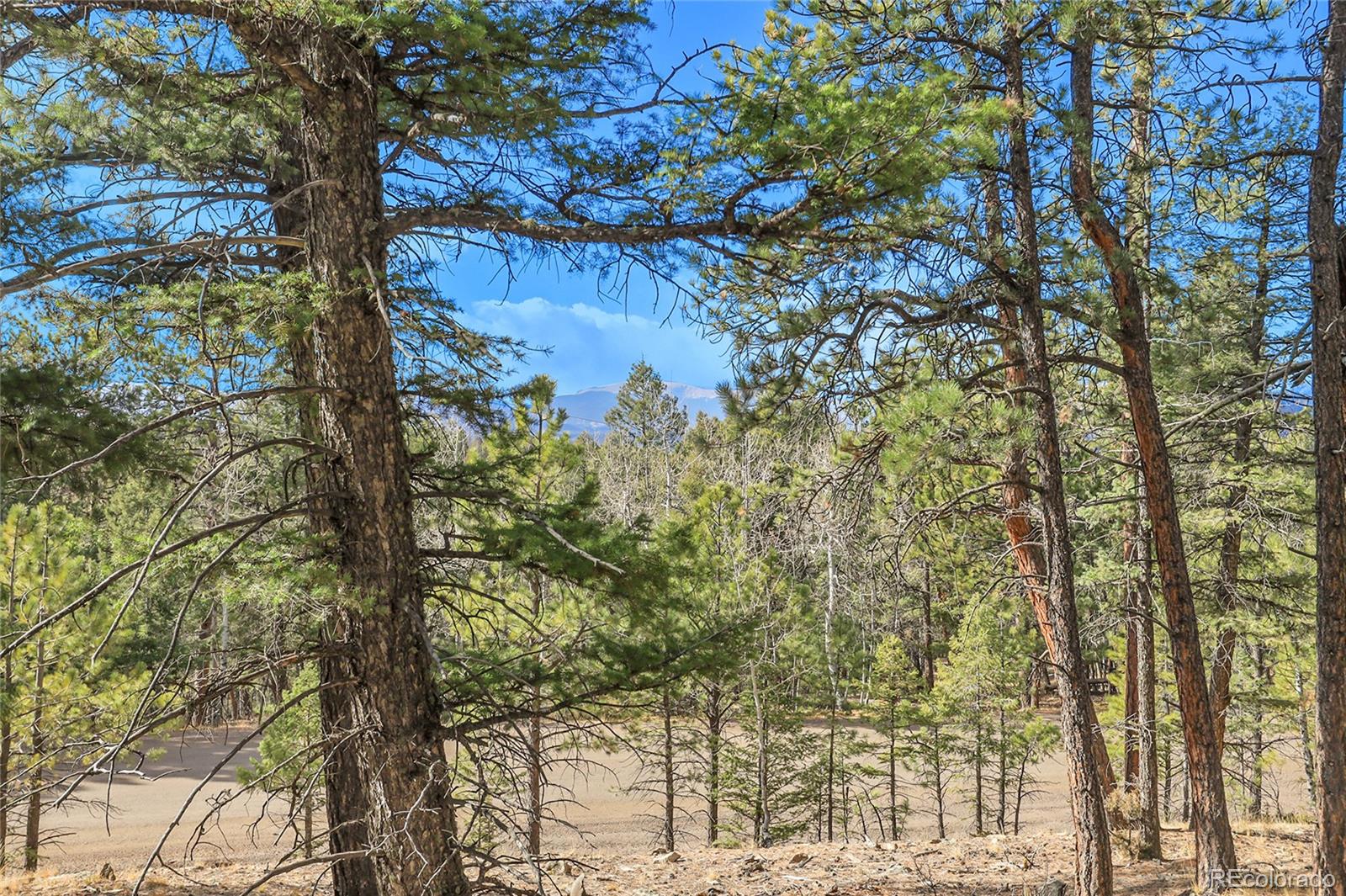 27551 Molly Drive Conifer CO 80433
