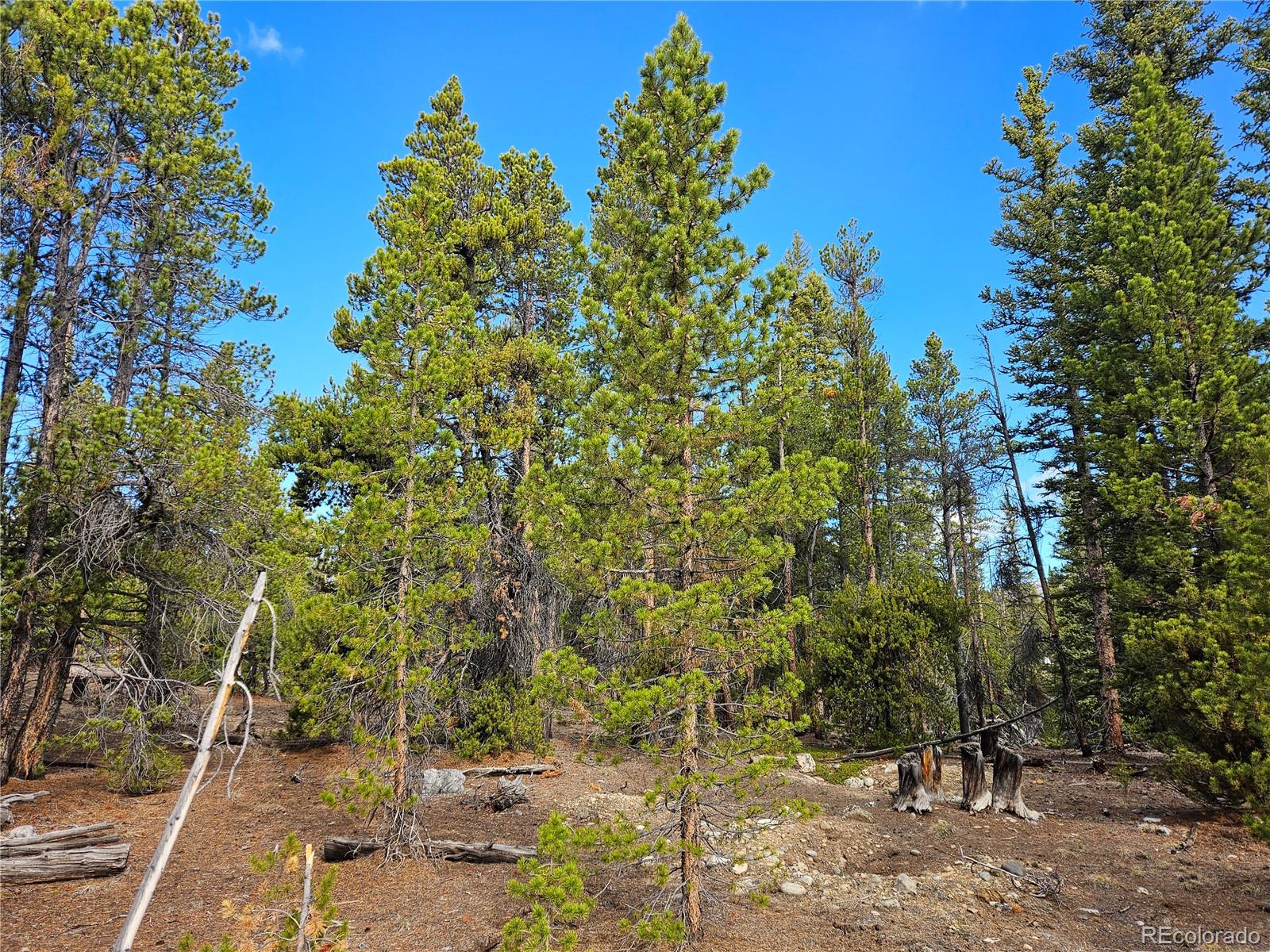PCS#7765 & 12057 Rollies Trail Alma CO 80420