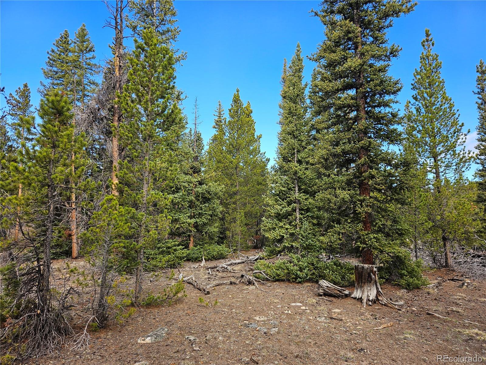 PCS#7765 & 12057 Rollies Trail Alma CO 80420