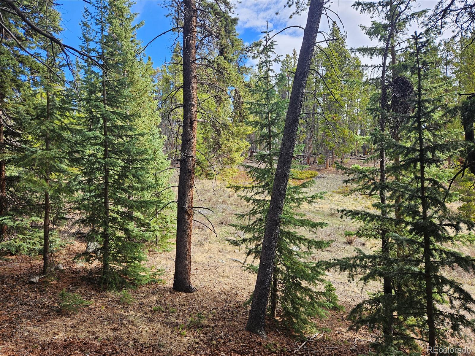 PCS#7765 & 12057 Rollies Trail Alma CO 80420