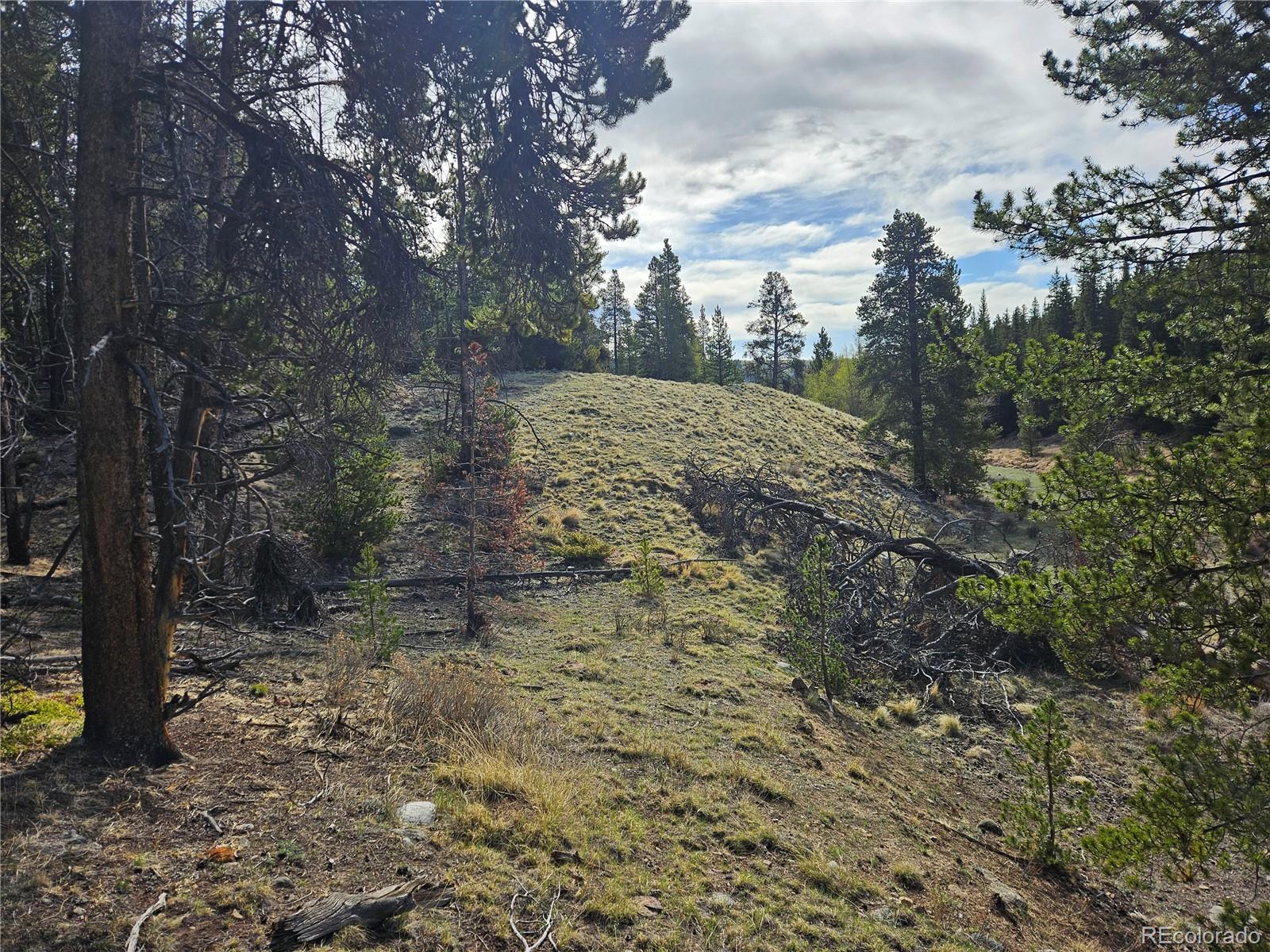 PCS#7765 & 12057 Rollies Trail Alma CO 80420