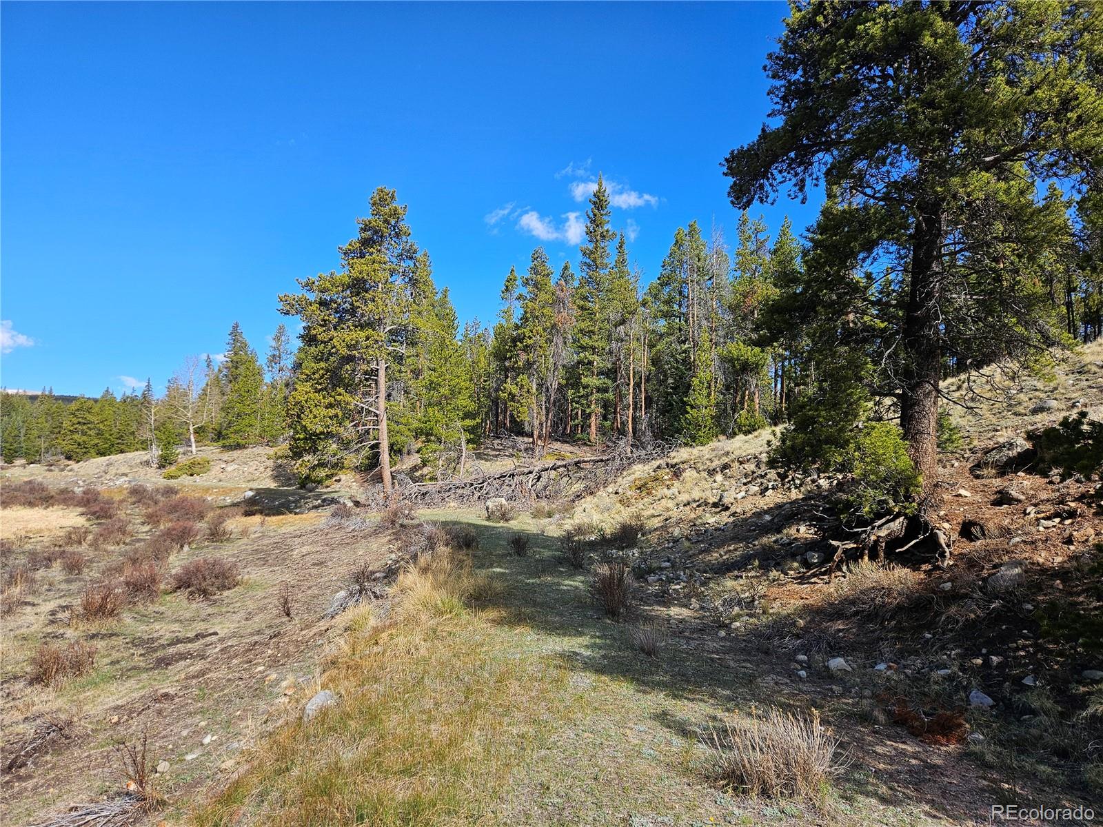 PCS#7765 & 12057 Rollies Trail Alma CO 80420