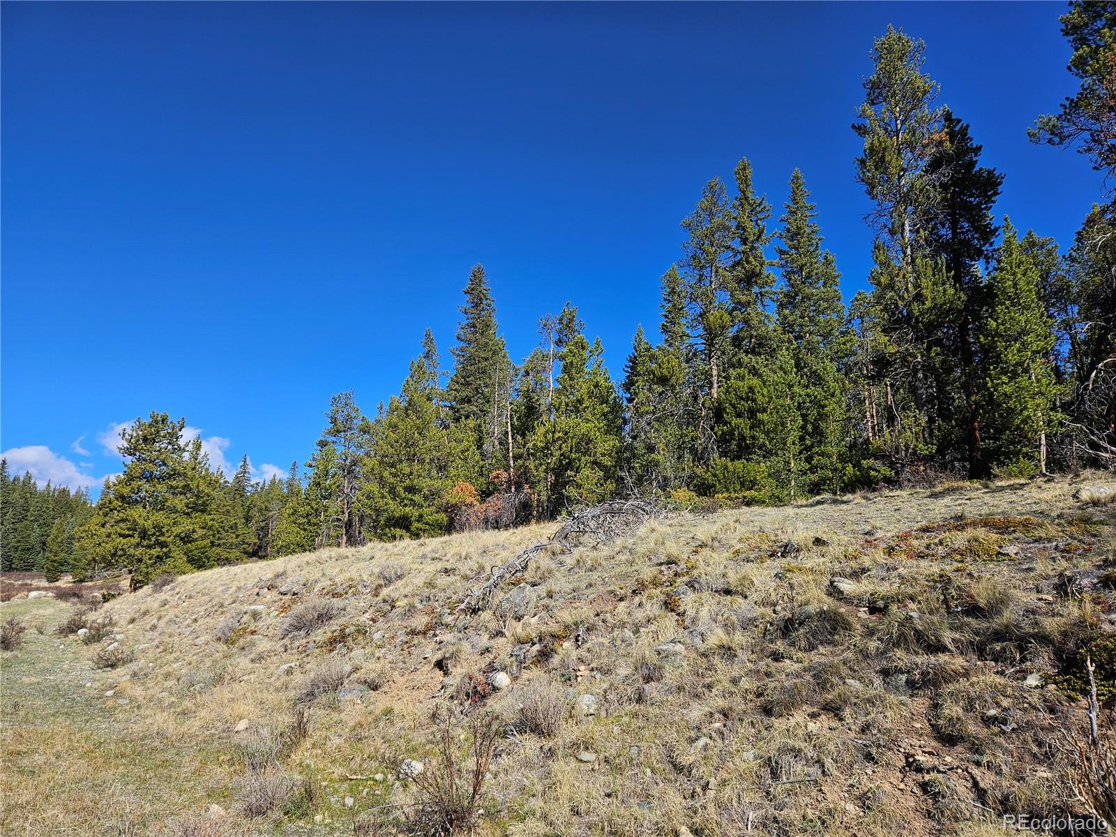 PCS#7765 & 12057 Rollies Trail Alma CO 80420