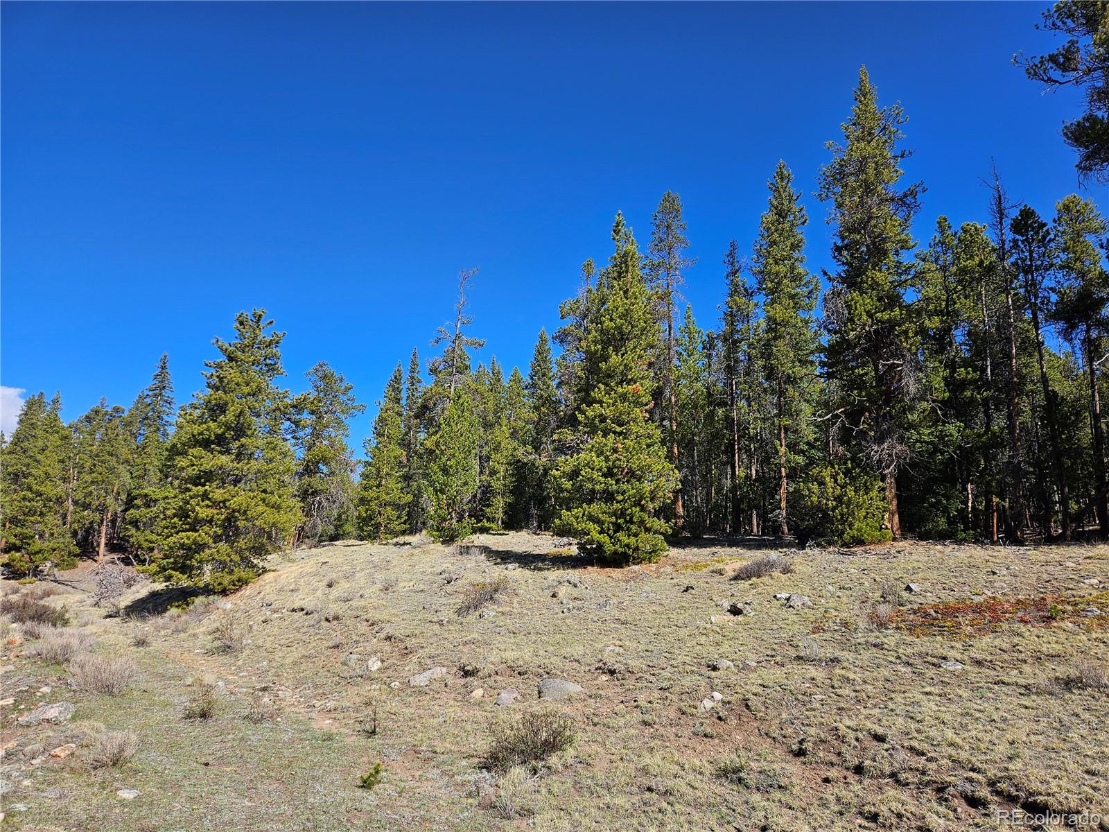 PCS#7765 & 12057 Rollies Trail Alma CO 80420
