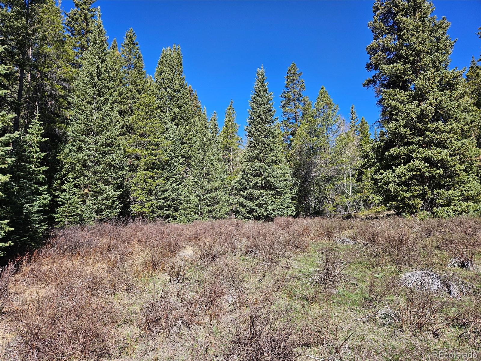 PCS#7765 & 12057 Rollies Trail Alma CO 80420