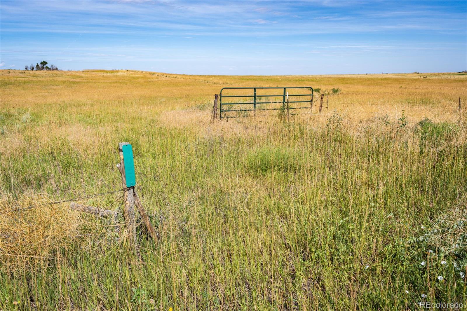 4055 S County Road 193 Byers CO 80103