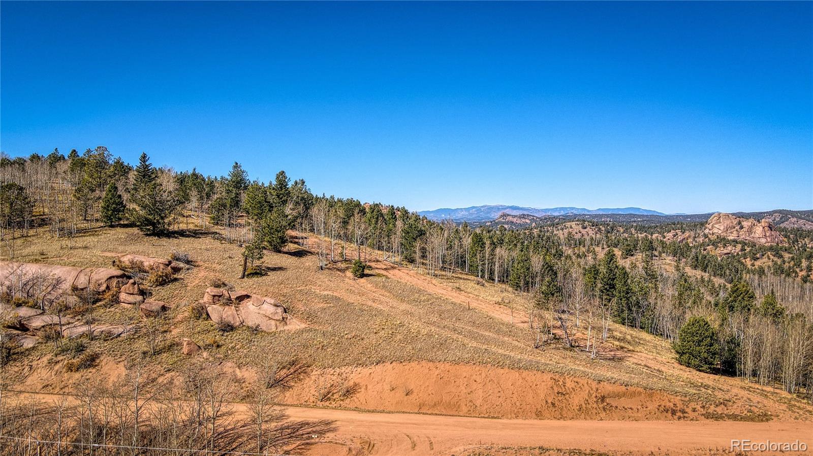 1343 Golden Cycle Circle Cripple Creek CO 80813