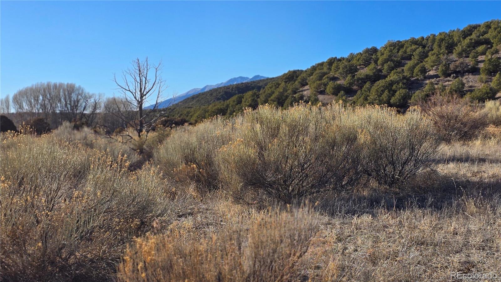 Lot 7542 Indian Creek Road Fort Garland CO 81133