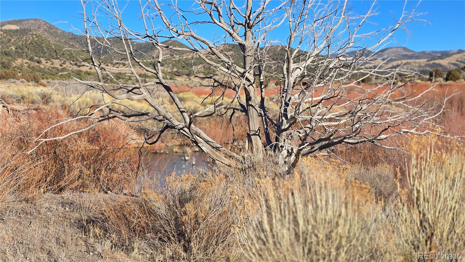 Lot 7542 Indian Creek Road Fort Garland CO 81133