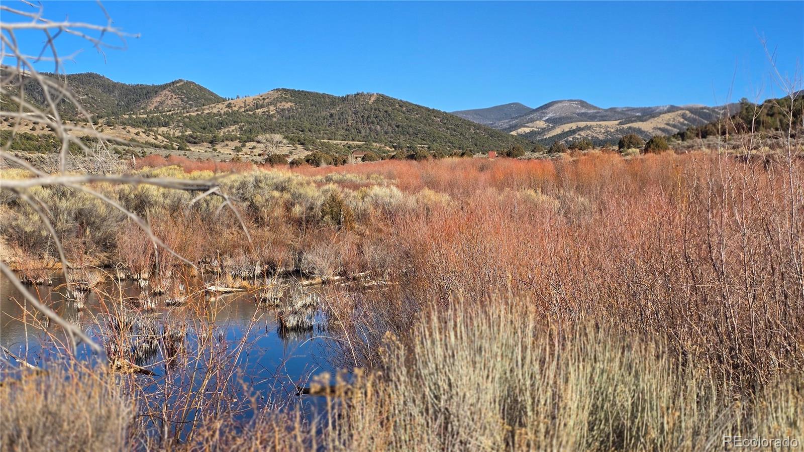 Lot 7542 Indian Creek Road Fort Garland CO 81133