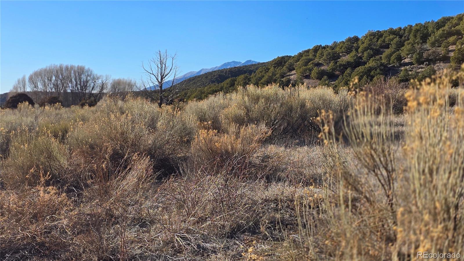 Lot 7542 Indian Creek Road Fort Garland CO 81133