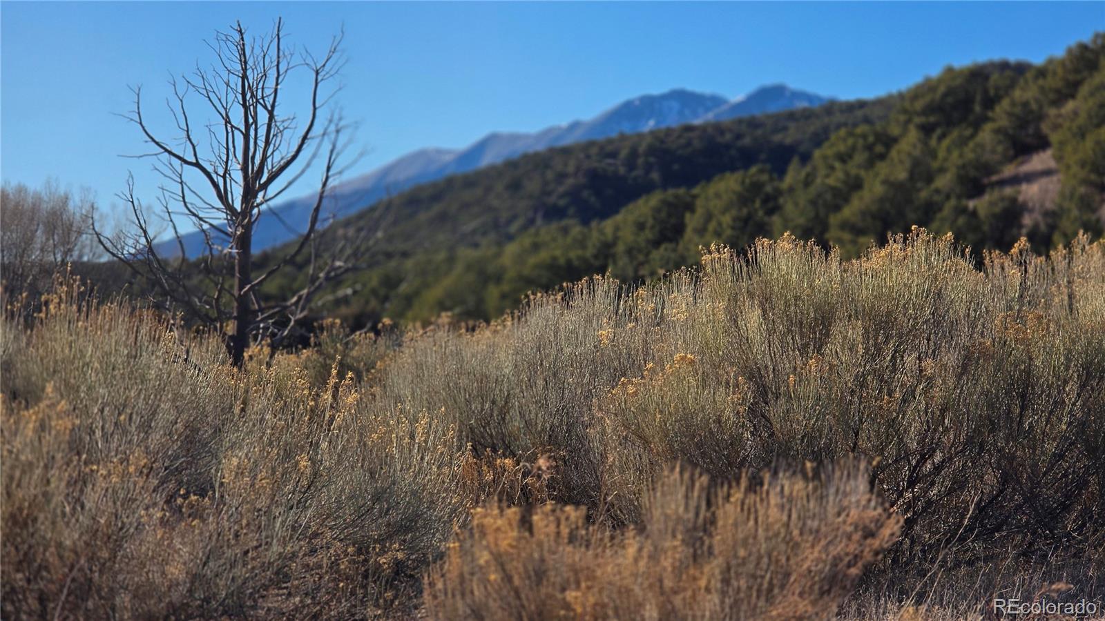 Lot 7542 Indian Creek Road Fort Garland CO 81133