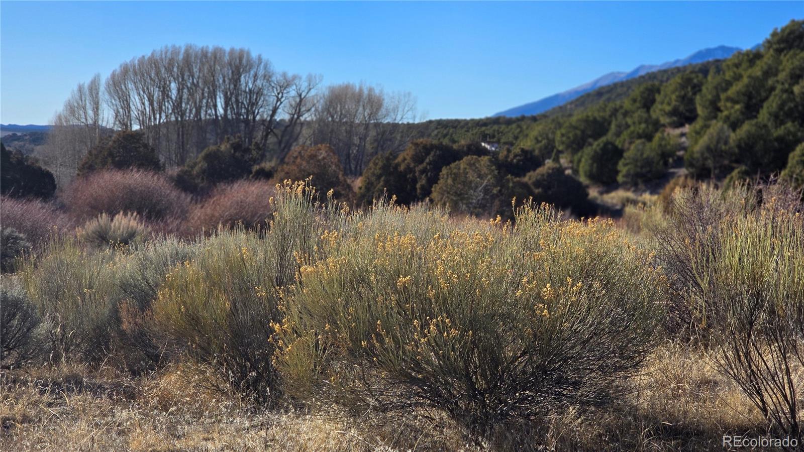 Lot 7542 Indian Creek Road Fort Garland CO 81133