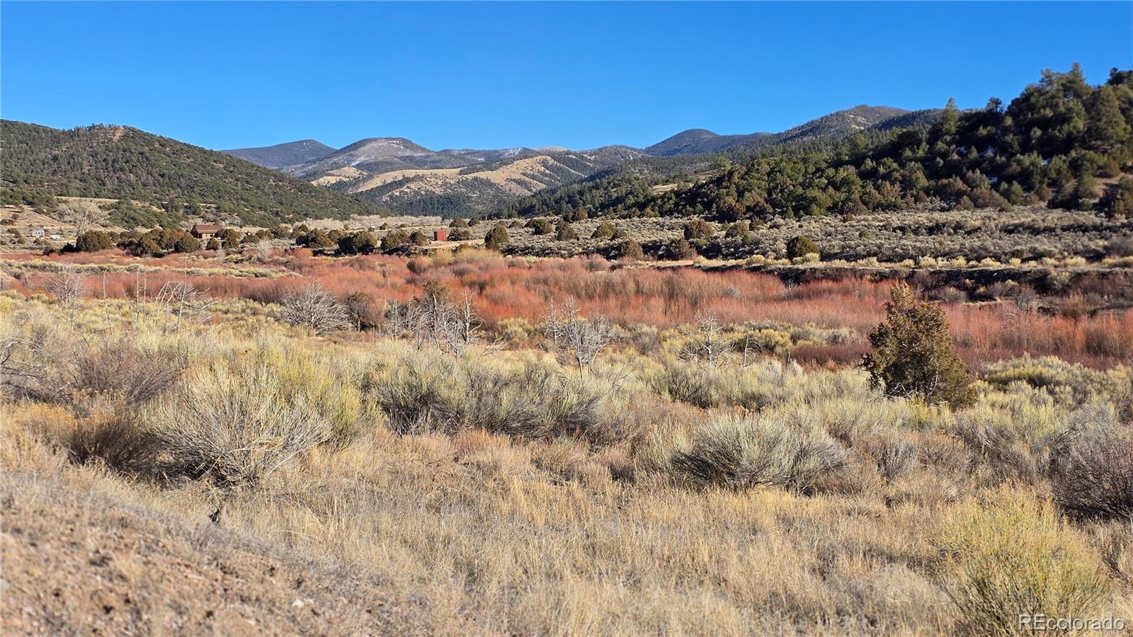 Lot 7542 Indian Creek Road Fort Garland CO 81133